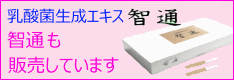 智通も販売しています
